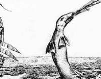 Diez asombrosas criaturas mitológicas del mar y sus aguas
