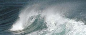olas02