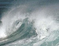 Oceana propone proteger el 12% del Mediterráneo