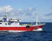 Tecnología láser SeaBird Saver