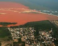 Catástrofe en las aguas territoriales de Brasil