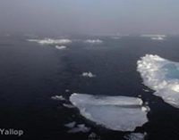 OIC debatirá la regulación de las prospecciones en el Ártico