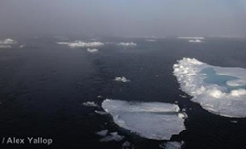 OIC debatirá la regulación de las prospecciones en el Ártico