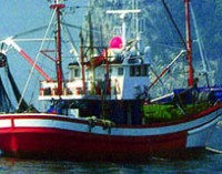 Reformas en la ley de pesca