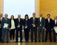 Premios AINE 2013