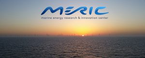 meric_web