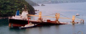 Tasman_Pioneer