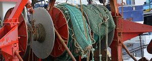 cepesca caja azul