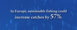 Oceana pesca sostenible en europa
