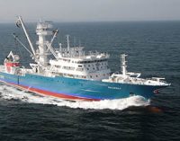 Wärtsilä optimiza el rendimiento de la flota pesquera de Albacora