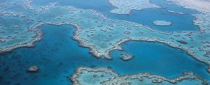 gran_barrera_de_coral