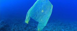 En 2050 habrá más plástico que peces en los océanos