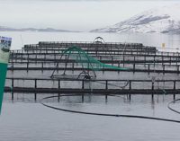 Sinergias entre la acuicultura y los parques eólicos offshore