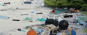 Isla Henderson: la mayor reserva de basura