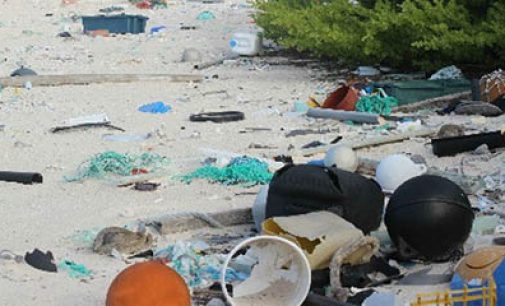 Isla Henderson: la mayor reserva de basura