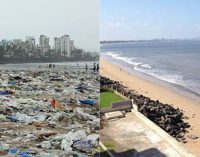Los ciudadanos limpian 5.000 t de escombros de su playa