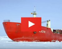 ¿Cómo aplican el Código Polar de la OMI en la Antártida?