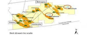 Repsol_encuentra_petroleo_caribe