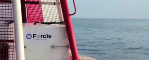 eForcis