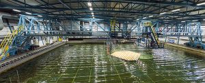 ensayos_isla_flotante_0