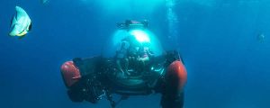 actividades en cruceros