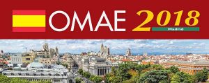 International Conference on Ocean, Offshore and Arctic Engineering