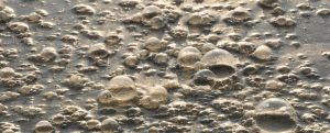 agua_contaminada