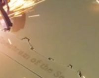 Puesta de quilla del Spectrum of the Seas