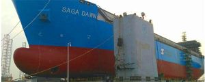 LNG SAGA DOWN Imagen de FKAB