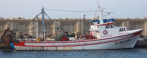 Chile protege el 98 % de su ZEE de la pesca de arrastre