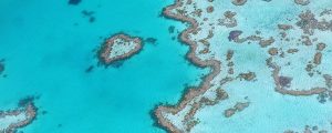 gran_brarrera_de_coral