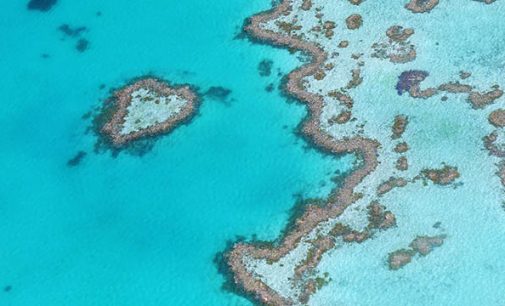 60 M$ para salvar la Gran Barrera de Coral