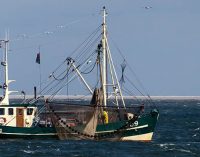 La política pesquera común de la UE para la pesca sostenible muestra resultados alentadores