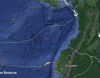 La pesca ilegal al descubierto