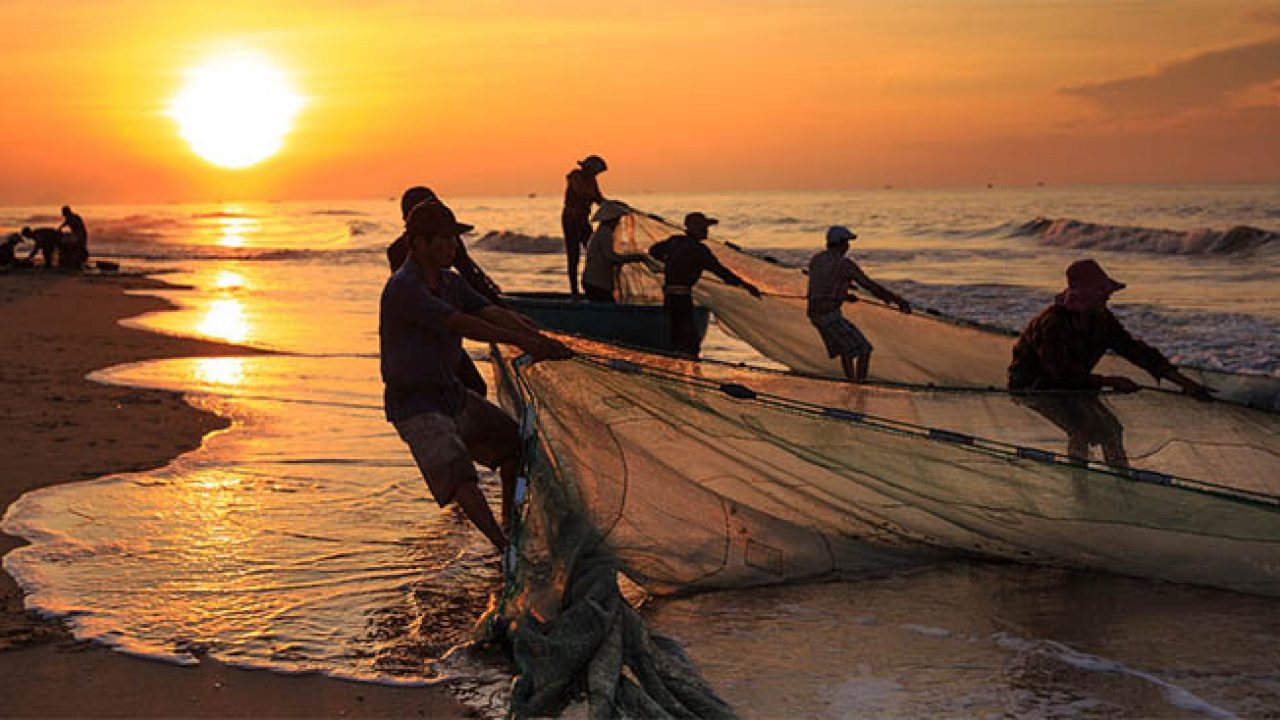 Los 10 principales países productores de pesca del mundo en 2015 | Revista  Ingeniería Naval