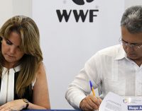 Ecuador y WWF unidos por la pesca sostenible