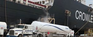 el_coqui_bunkering