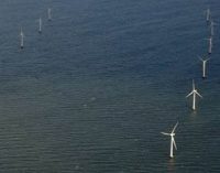 Dinamarca tendrá 800 MW de eólica offshore