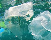 La OMI continúa la lucha contra la basura marina