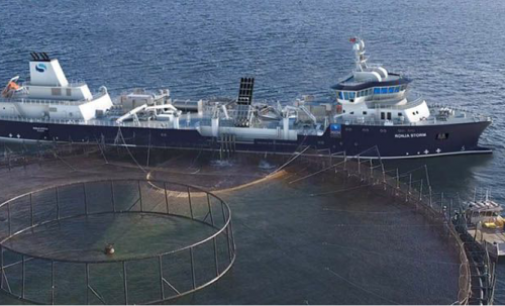 Botadura del Ronja Storm