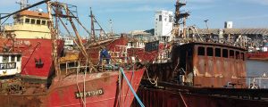El puerto de Mar del Plata recupera frente de amarre