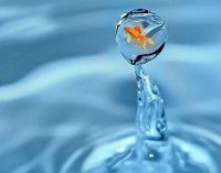 Tecnologías 4.0 para una pesca más eficiente y sostenible