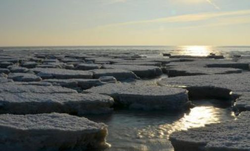Wärtsilä instala su software para proteger las aguas árticas