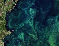 Productos e indicadores de la calidad del agua de los océanos