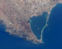 Un informe señala al vertido continuado de nutrientes agrícolas como principal causa de la mortandad masiva de fauna en el Mar Menor