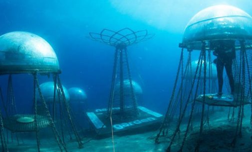 El gemelo digital revolucionará el cultivo submarino