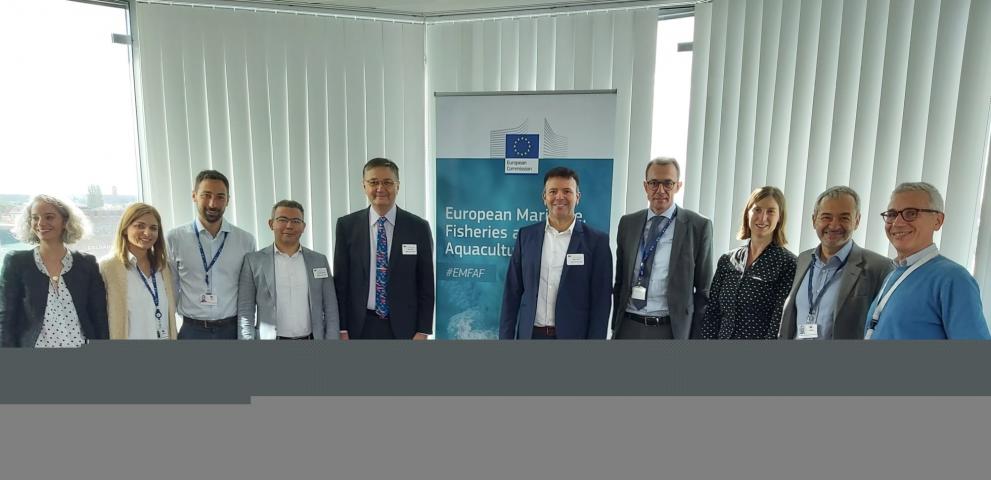 proyectos de la EMFAF reunión UE