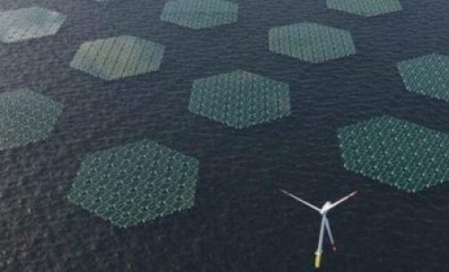 Parques solares flotantes en el mar, ¿posible?