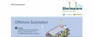 DP Energy e Iberdrola publican el informe de alcance de la evaluación de impacto ambiental del parque eólico marino de Shelmalere