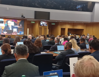 España respalda la ambiciosa Estrategia de la OMI para descarbonizar el transporte marítimo